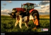 Picture of Schlepper Kalender 2025